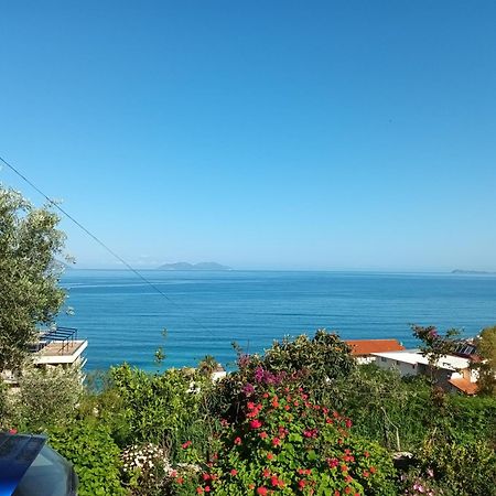 Aaron Villa 1 Kanine Kültér fotó